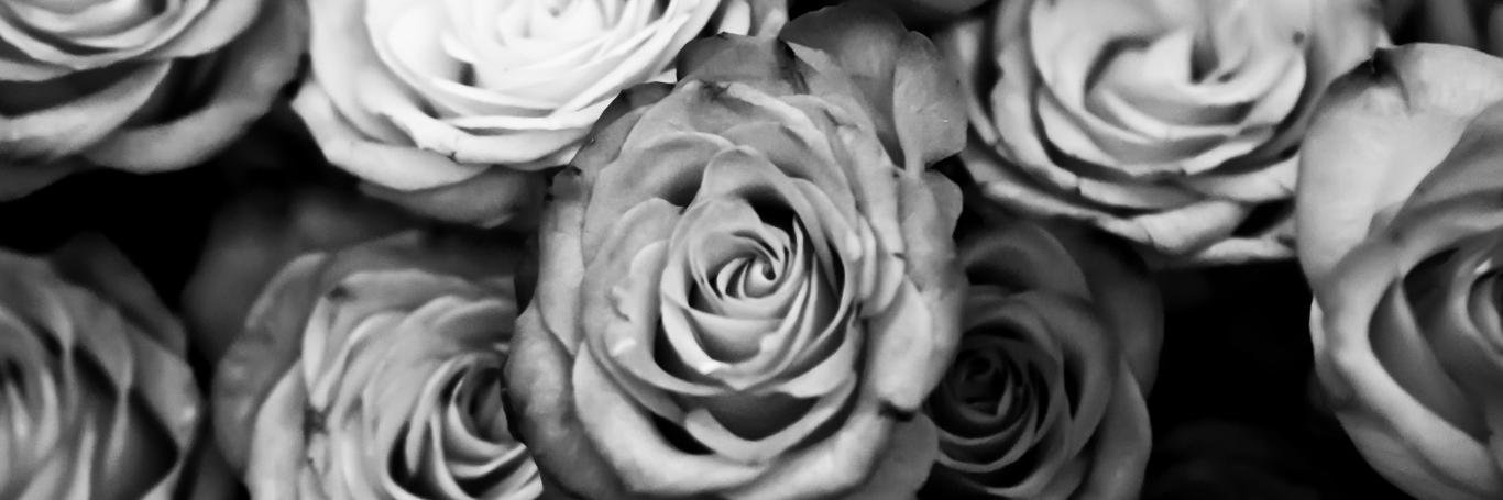TearYourSoul's profile banner image