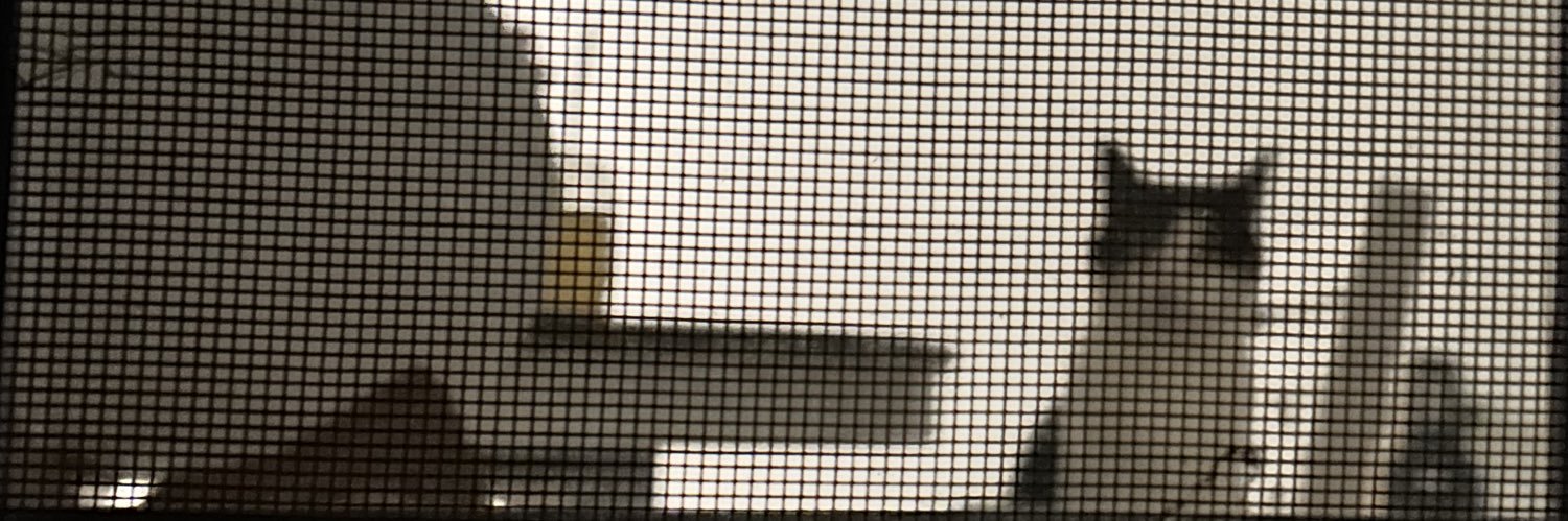 nekosvnn's profile banner image