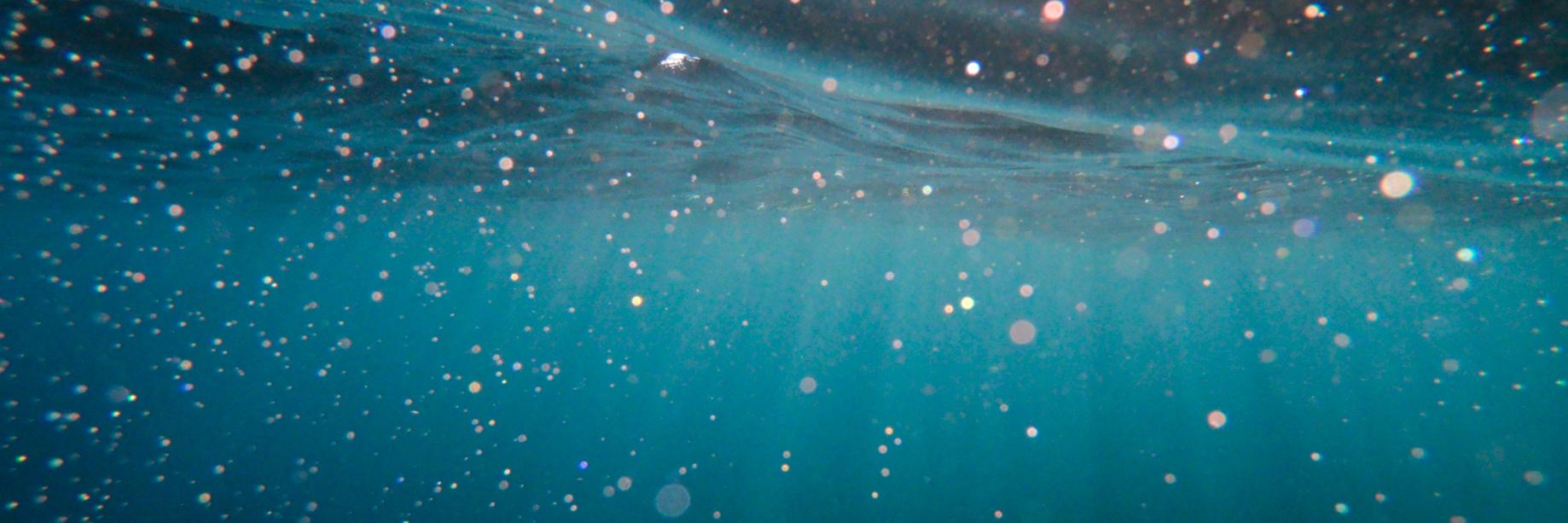 Ocean Clean Wash banner