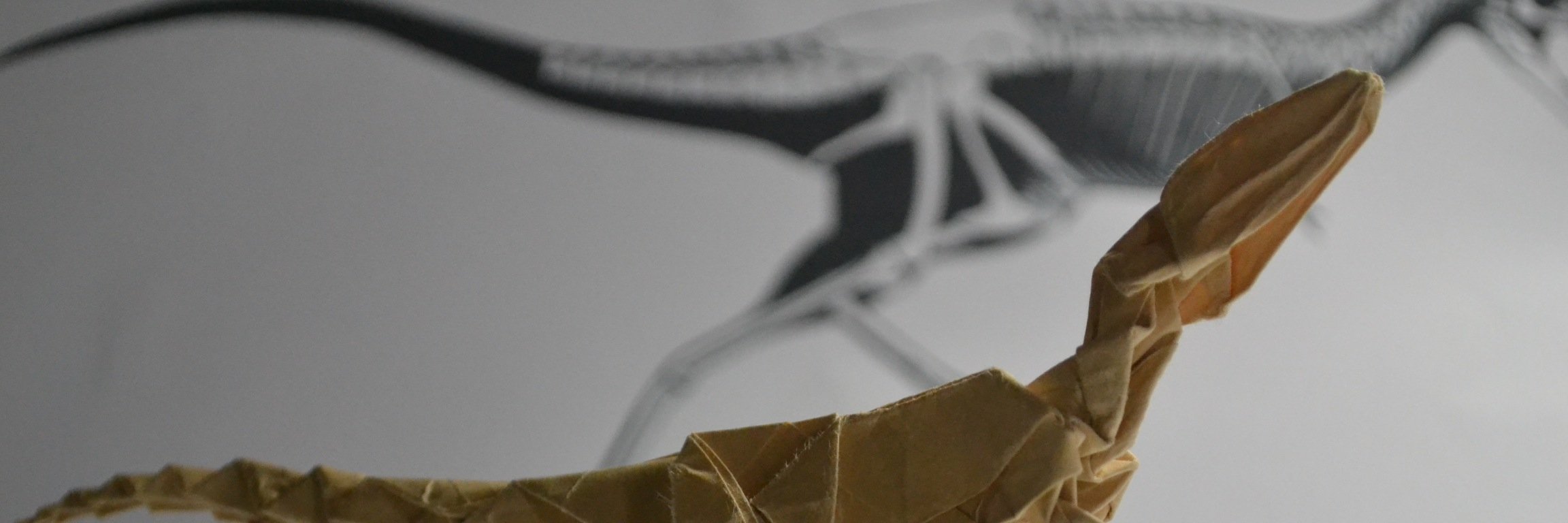 Anomro's profile banner image