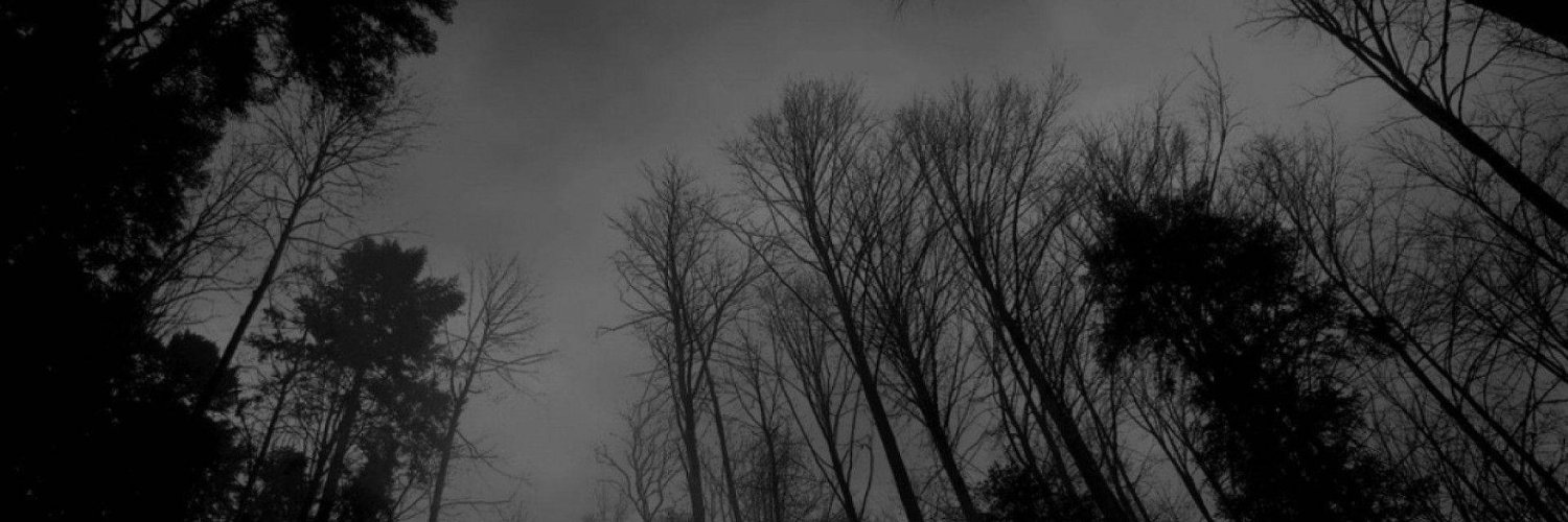ShadyJed's profile banner image