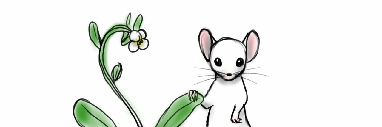 FsBioKn's profile banner image