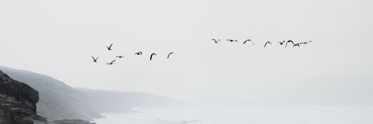 Gzuita's profile banner image