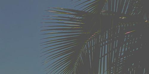 maghelpsfollow's profile banner image