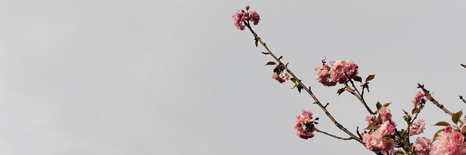Corvinchuk's profile banner image