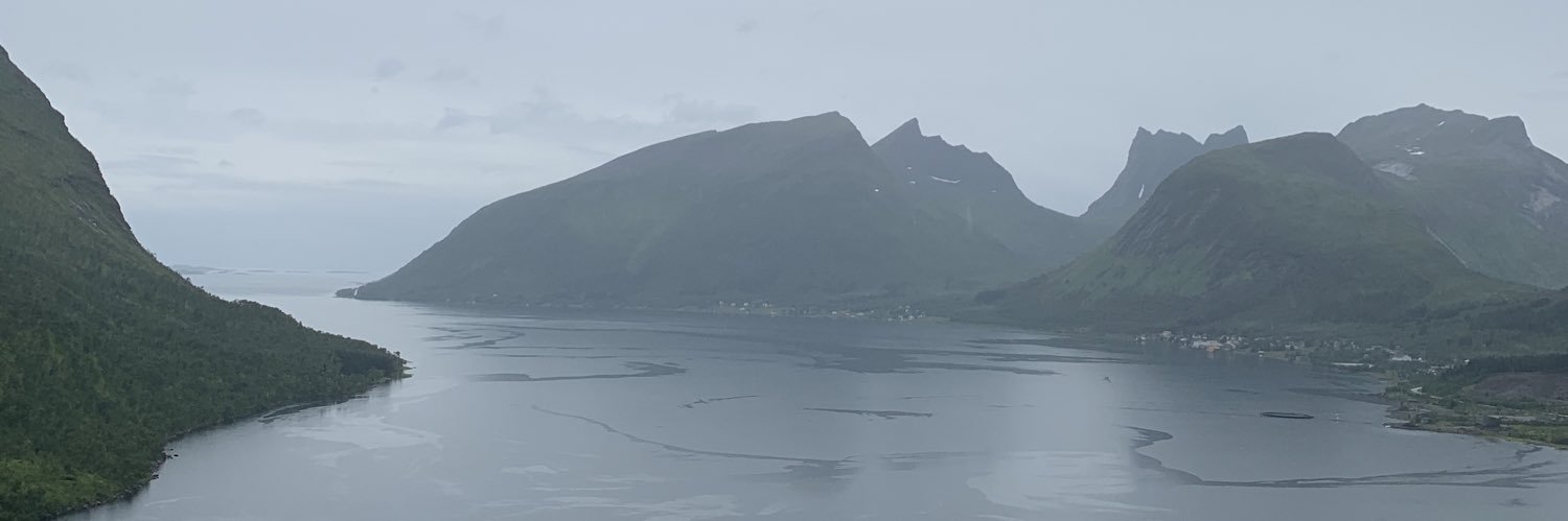 PParttimaa's profile banner image