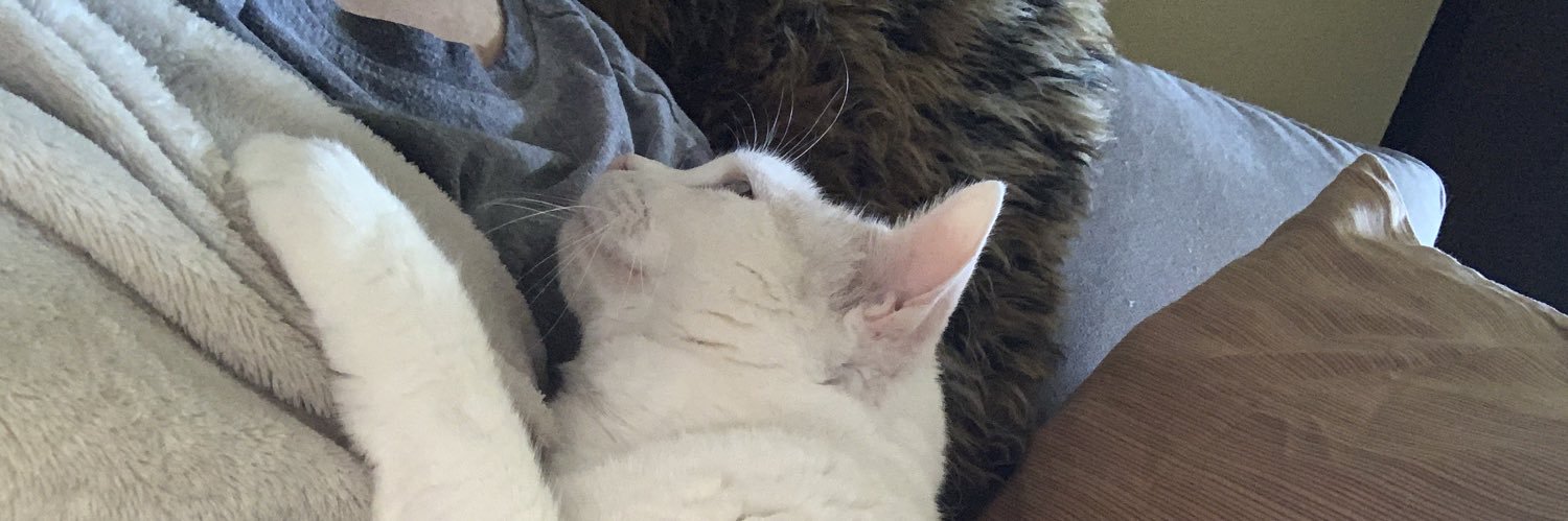 CooksterandBoog's profile banner image