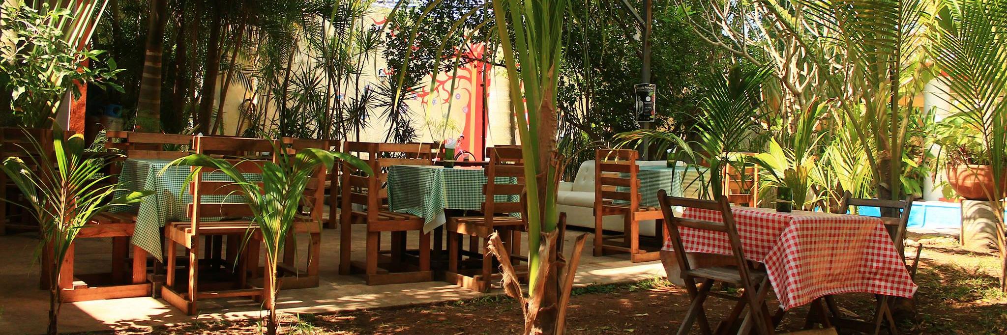 Avocado Vegetariano banner