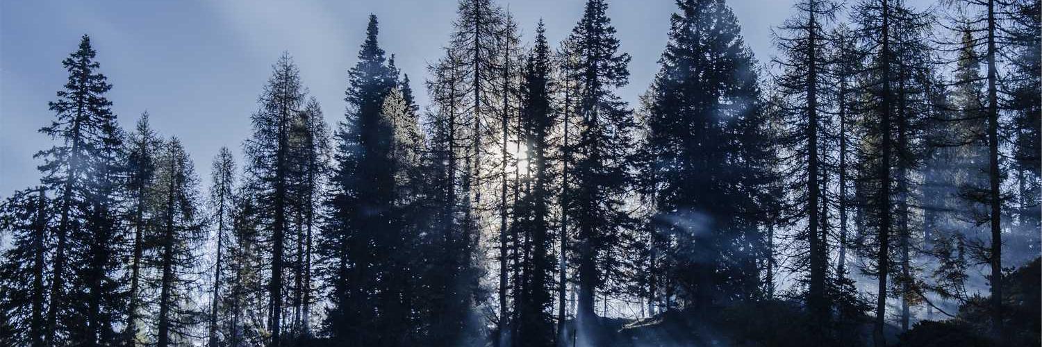 InfoLimitIndns's profile banner image