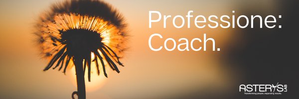 AsterysLab Profile Banner