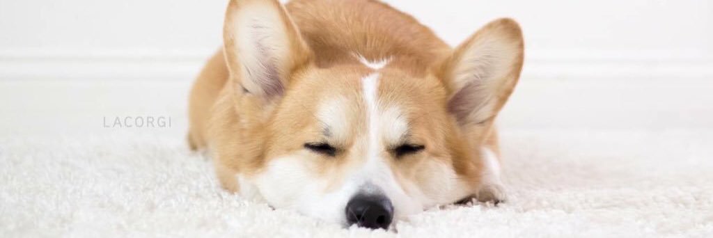ono_STW's profile banner image