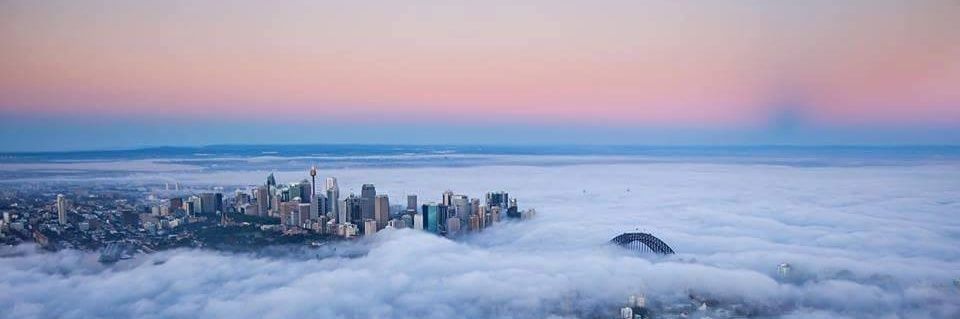 Michelle Baltazar banner