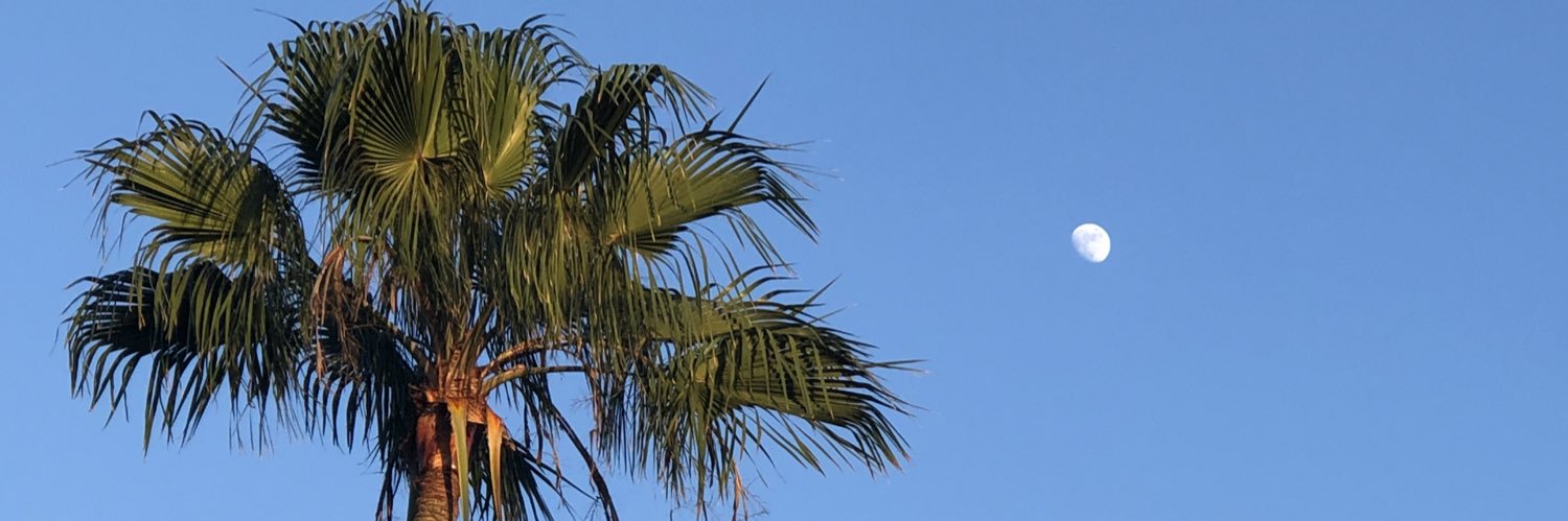 toeupfrmbeauup's profile banner image