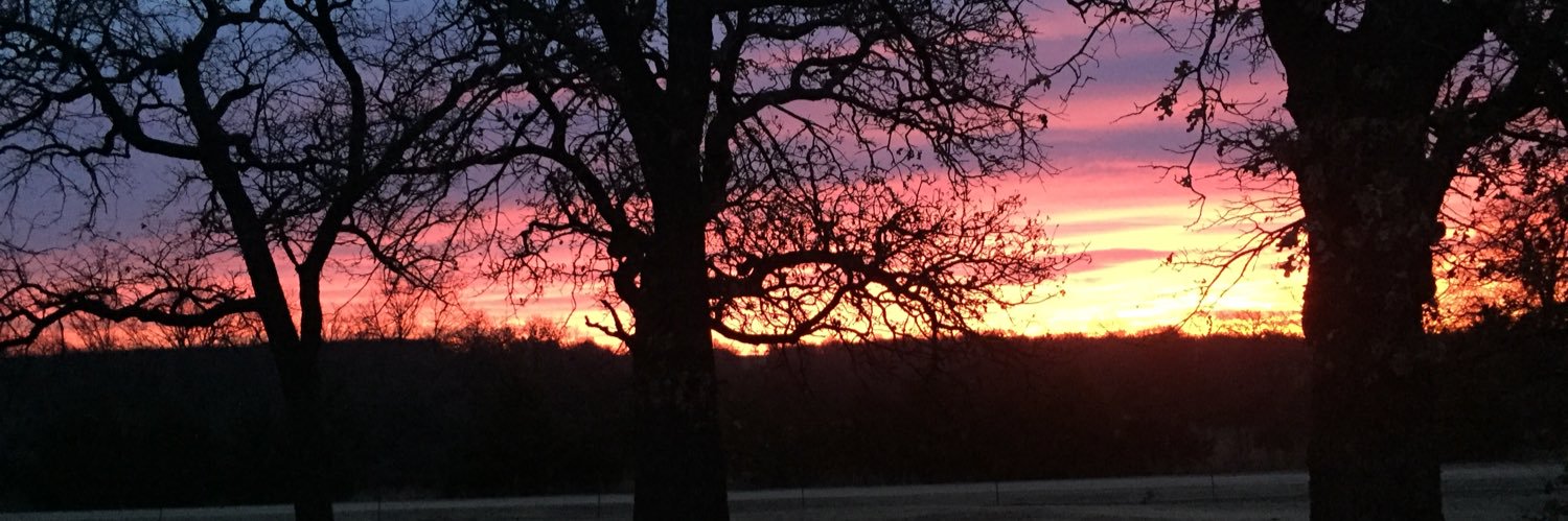 Redoak2020's profile banner image