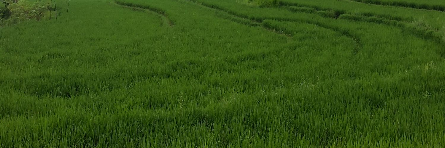 fajarridhooo's profile banner image