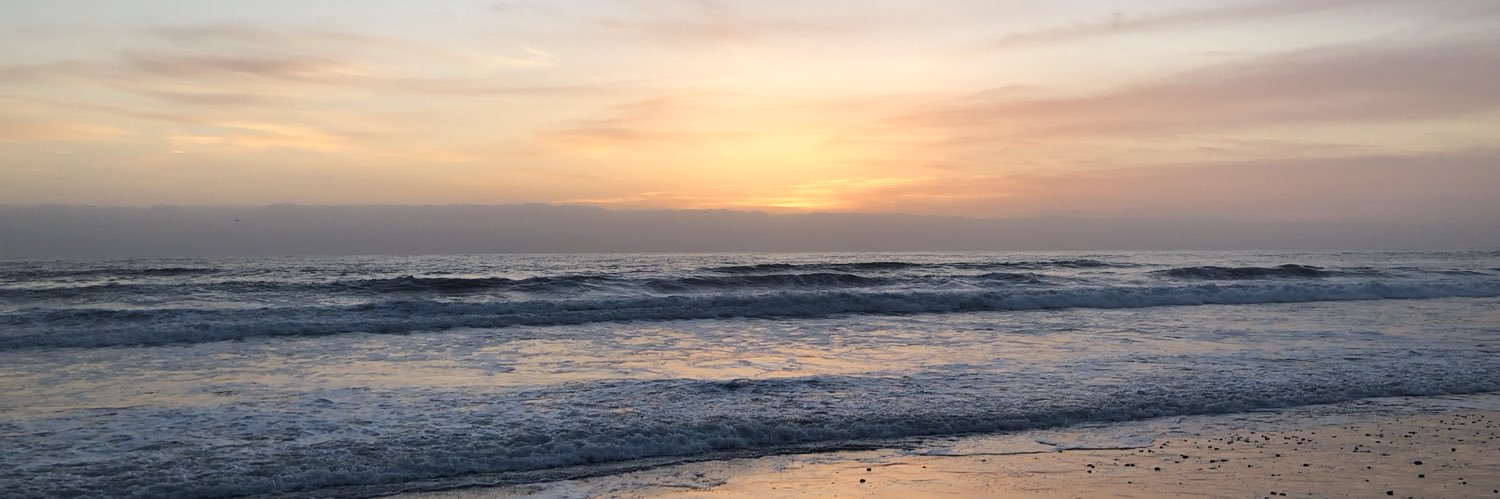 Macneil Shonle banner