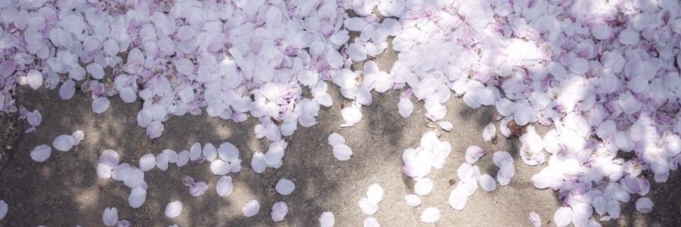 every_smiling's profile banner image
