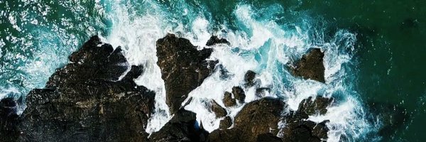 SeaChangeVC Profile Banner