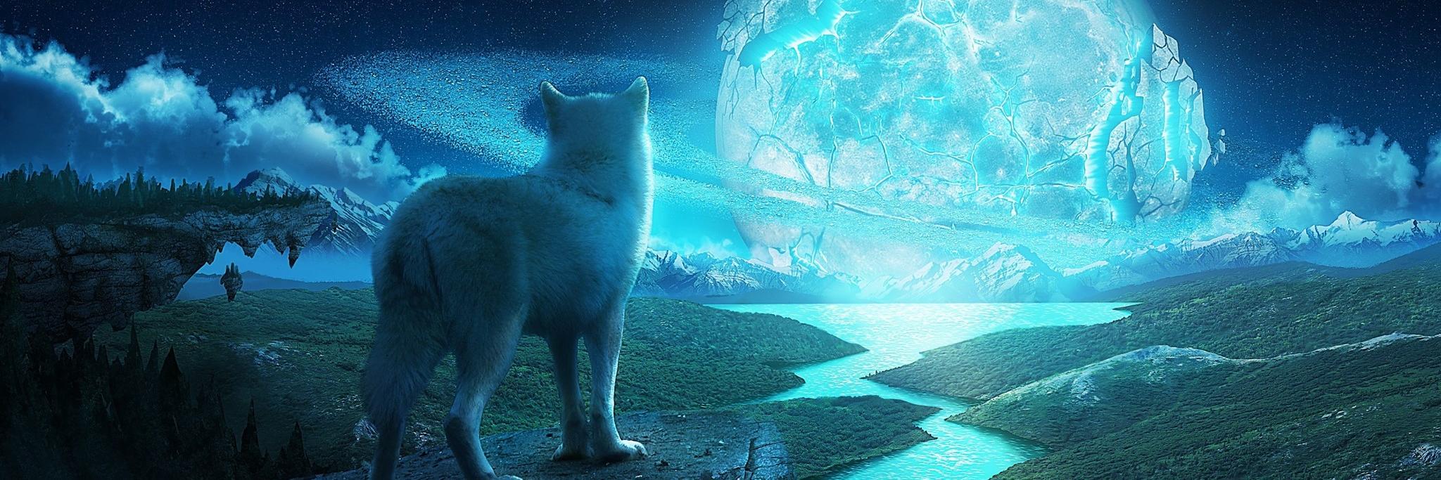 HorusTheWolf's profile banner image