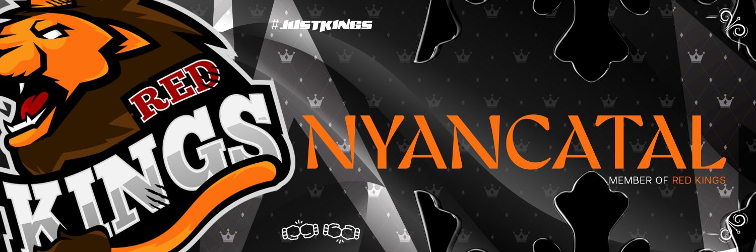 nyancatal's profile banner image