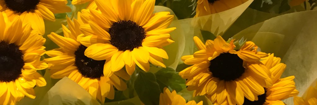 ayumini1023's profile banner image