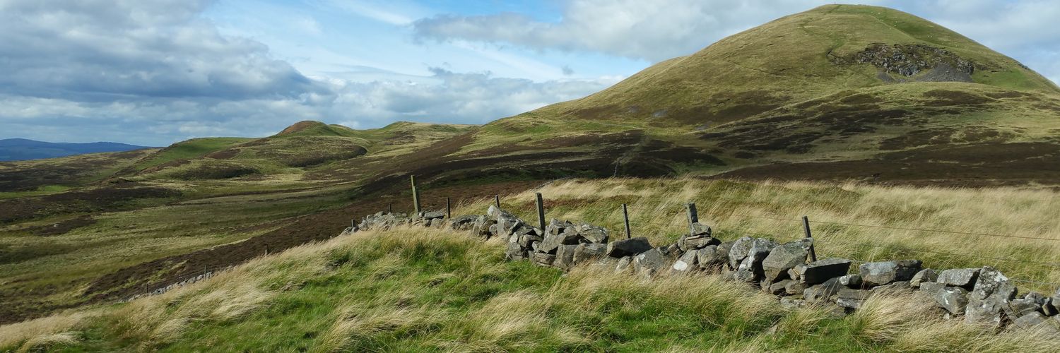 dsvenschubert's profile banner image