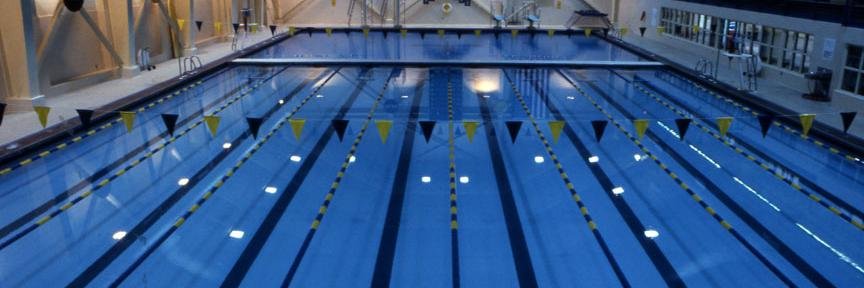 TCNJSwimAndDive's profile banner image