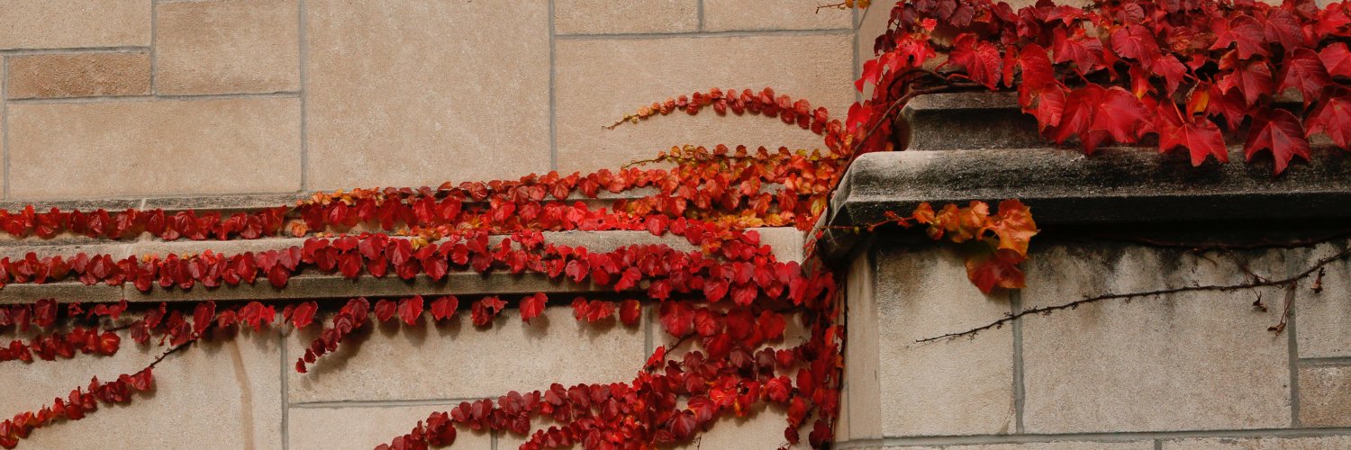 Center for Health Administration Studies (CHAS) banner