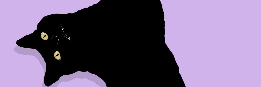 CleverCunst's profile banner image