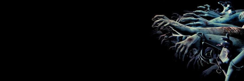FxCampus's profile banner image