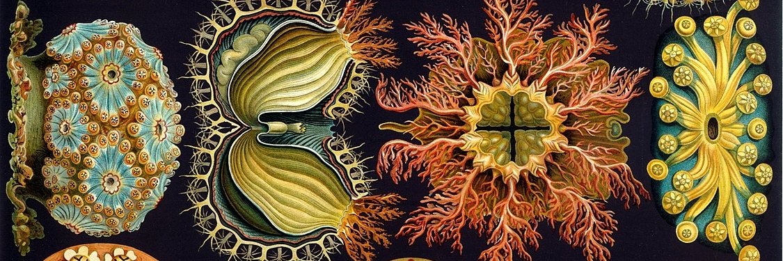 dacostju's profile banner image