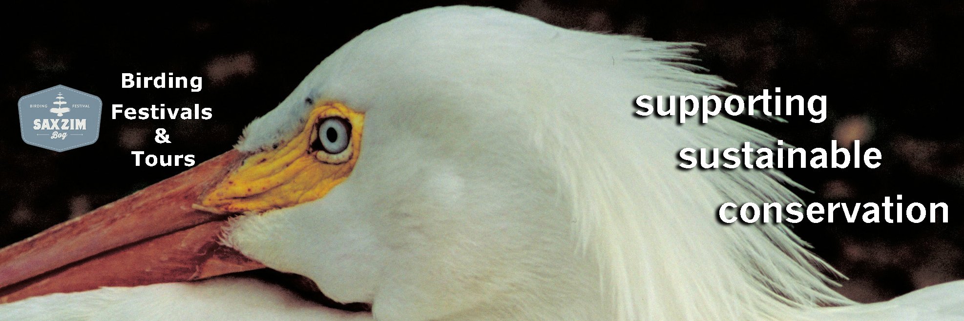 TopBirdingTours's profile banner image