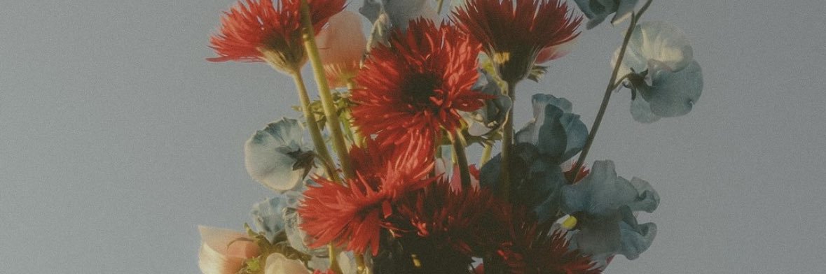 m__pomme8's profile banner image