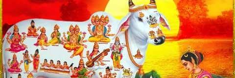 pmindian's profile banner image