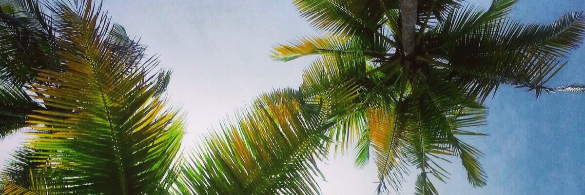 water_meli's profile banner image
