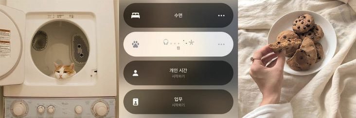blvesjeon's profile banner image
