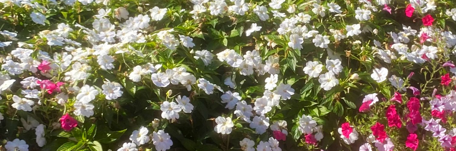 hrogers28's profile banner image