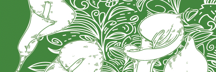 Liz Chapman banner