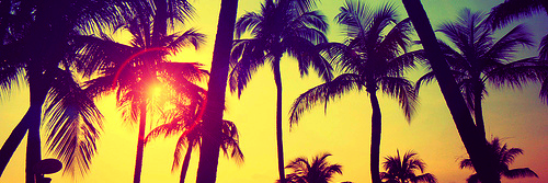 AmandaaCinttra's profile banner image