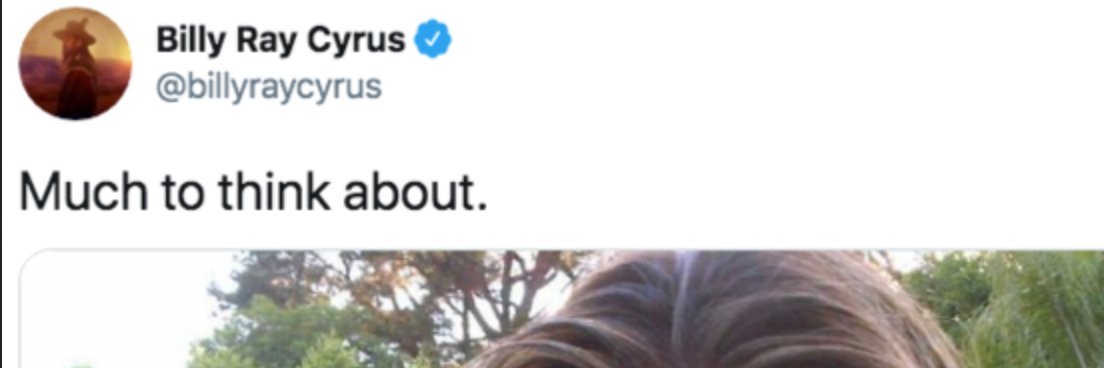 Elizabeth S. Cameron banner