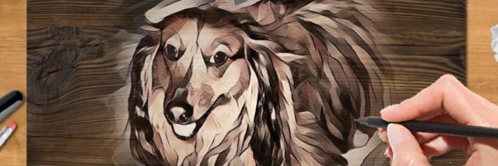 appyt1's profile banner image