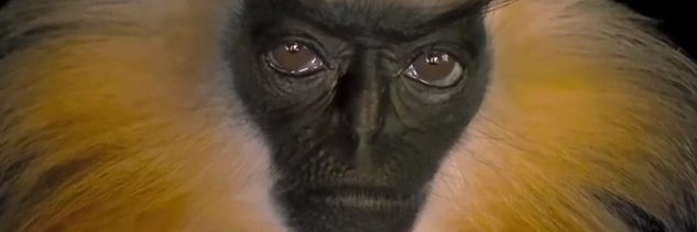 absurdcomplex's profile banner image