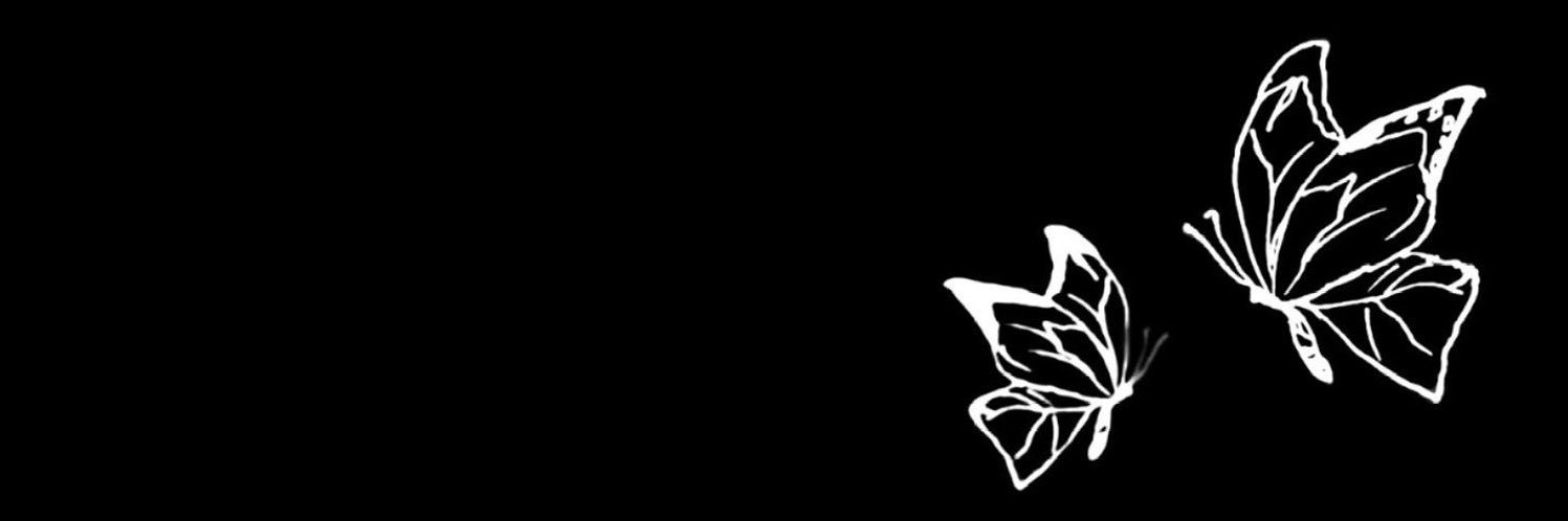 愛leon banner
