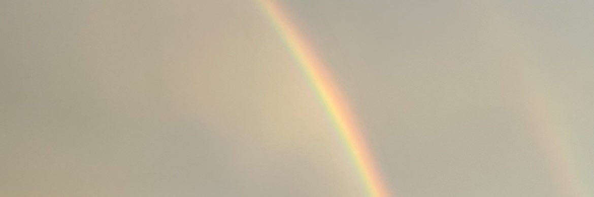 ariadna01433's profile banner image