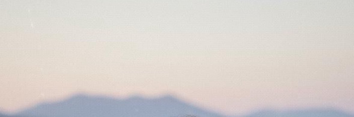 llemrx's profile banner image