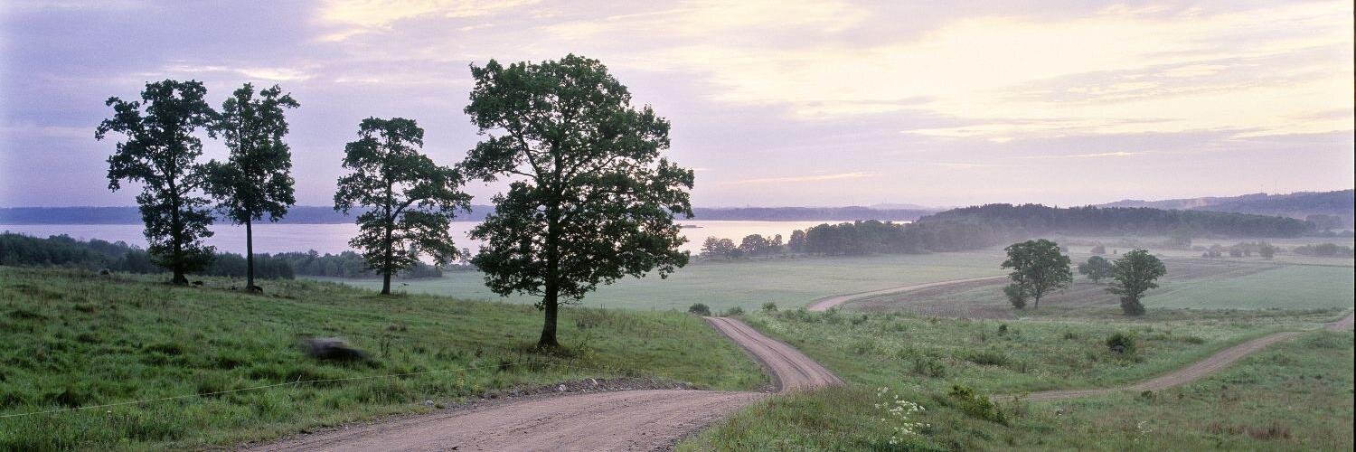lindstrand's profile banner image