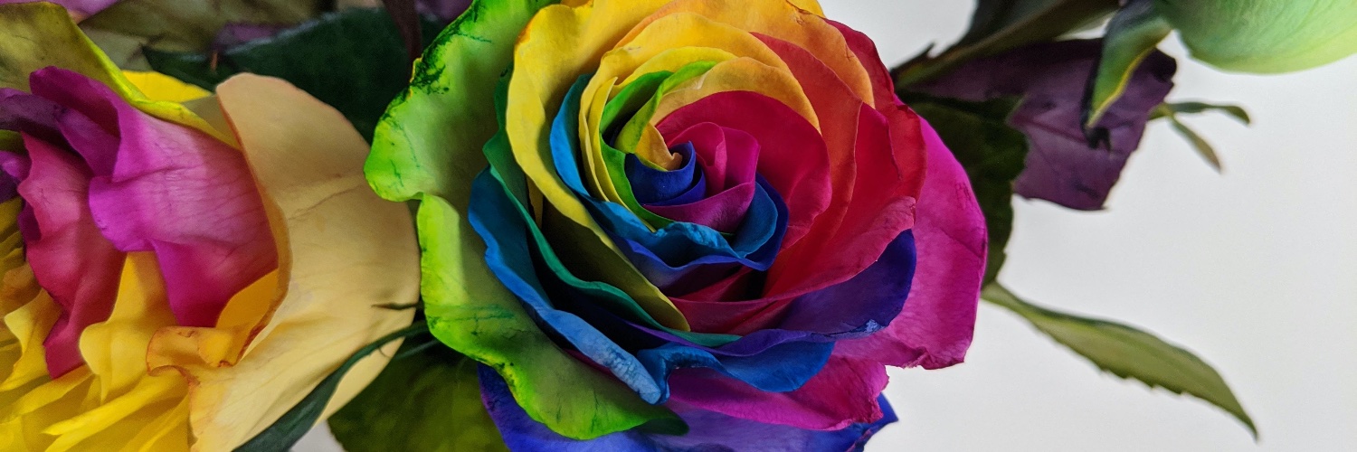 izzyonline's profile banner image