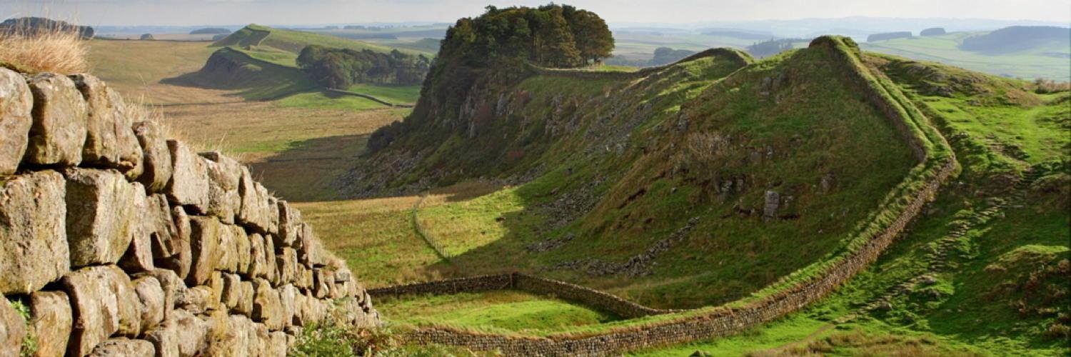 Prof Ian Haynes banner