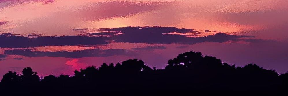 Lucas banner