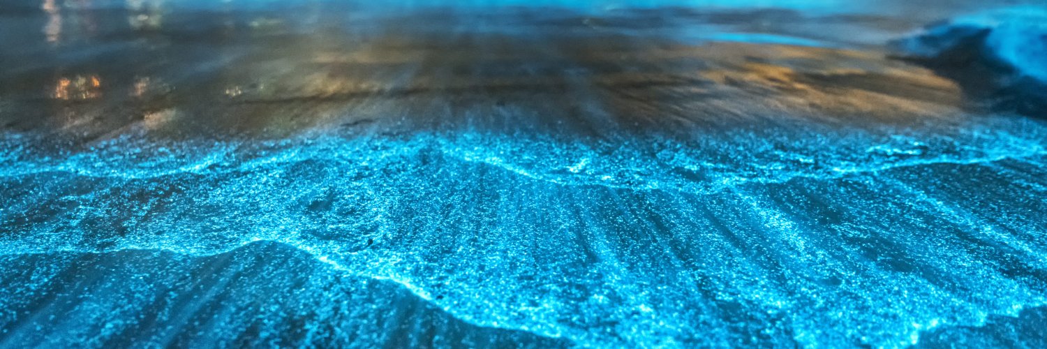cheatfish67's profile banner image
